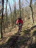 Singletrails